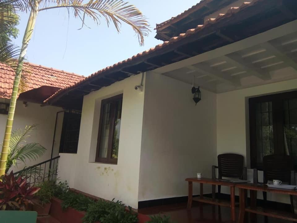 מדיקרי Emerald Castle Villa מראה חיצוני תמונה