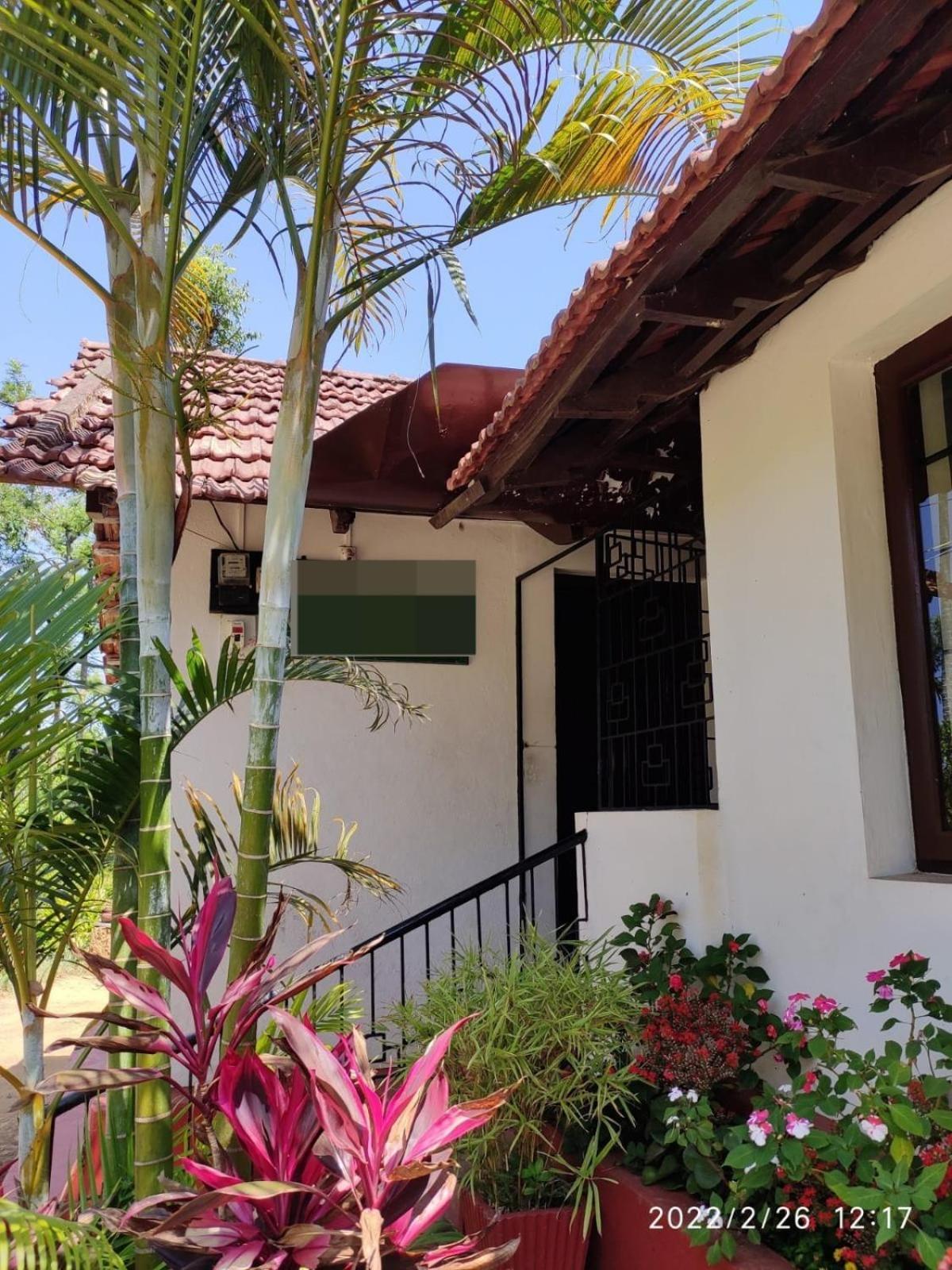 מדיקרי Emerald Castle Villa מראה חיצוני תמונה